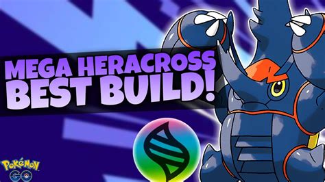 heracross smogon|best heracross build.